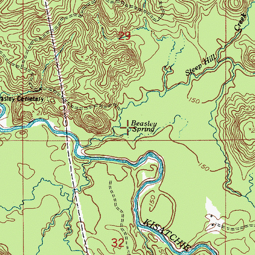 Topographic Map of Beasley Spring, LA