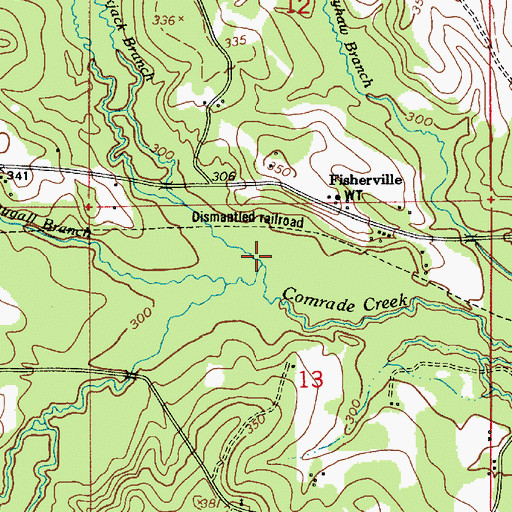 Topographic Map of Blackjack Branch, LA