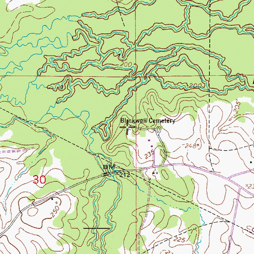 Topographic Map of Blackwell Cemetery, LA
