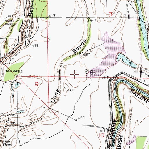 Topographic Map of Cane Bayou, LA