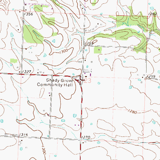 Topographic Map of Shady Grove Community Hall, AR
