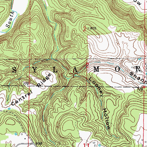Topographic Map of Shannon Hollow, AR