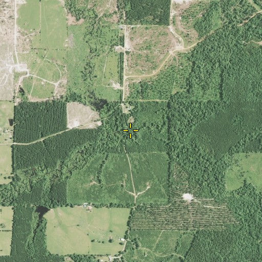 Aerial/Satellite Image of Ebenezer Spring, LA