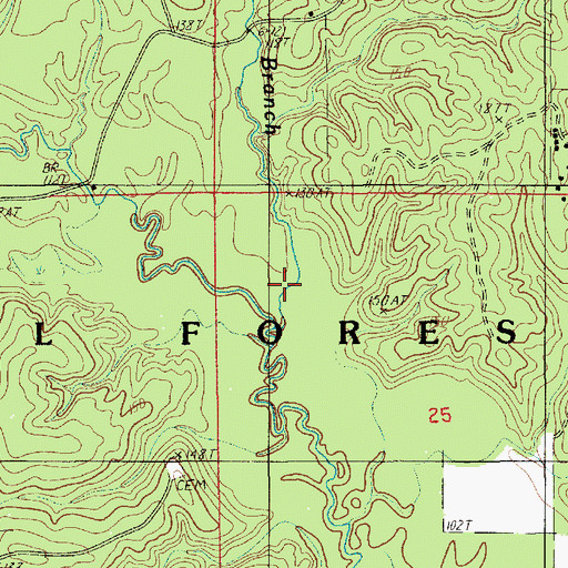 Topographic Map of Flem Branch, LA