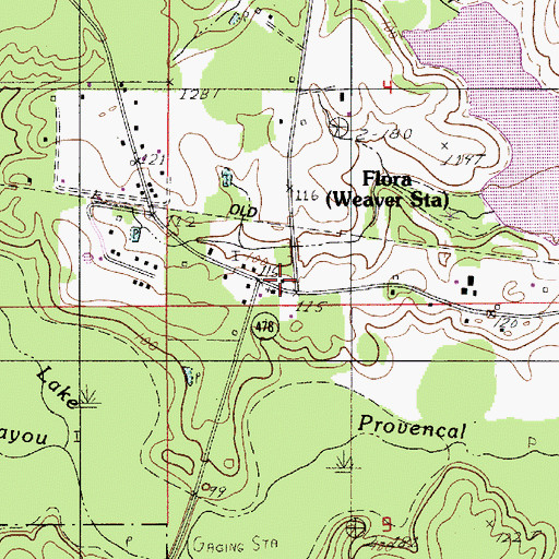 Topographic Map of Flora, LA