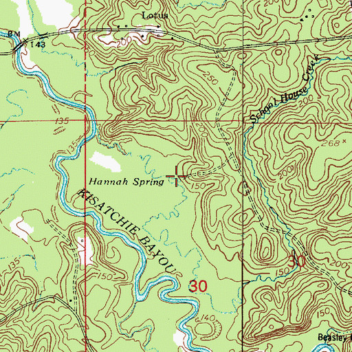 Topographic Map of Hannah Spring, LA