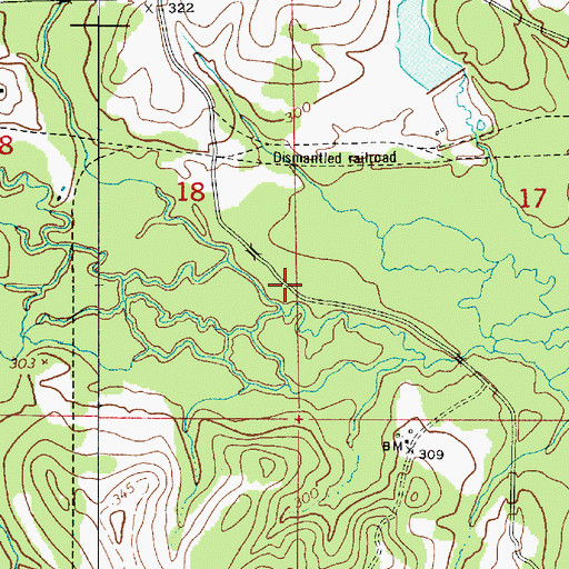 Topographic Map of Indian Branch, LA