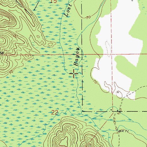 Topographic Map of Lost Bayou, LA