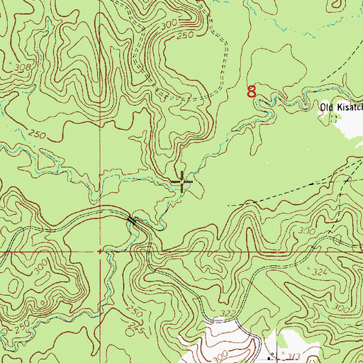 Topographic Map of Lyles Creek, LA