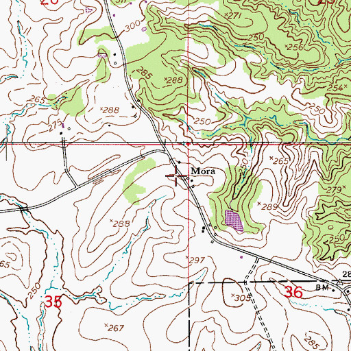 Topographic Map of Mora, LA
