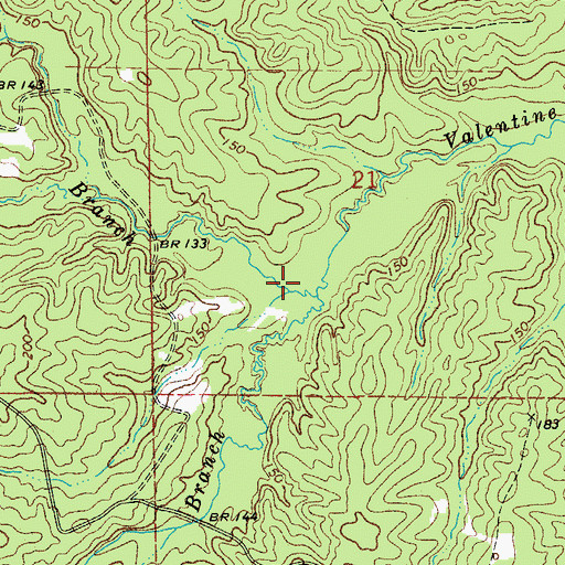 Topographic Map of Muddy Branch, LA
