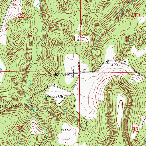 Topographic Map of Shiloh Cemetery, AR