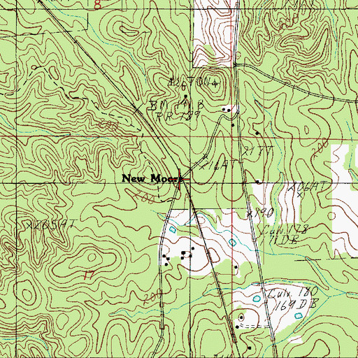 Topographic Map of New Moore, LA