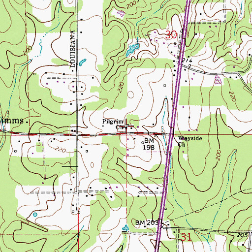Topographic Map of Pilgrim Church, LA