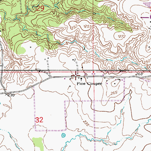 Topographic Map of Pine Coupee, LA