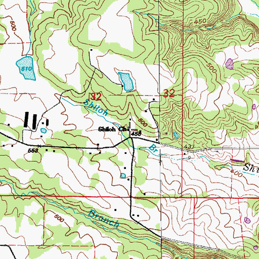 Topographic Map of Shiloh Church, AR