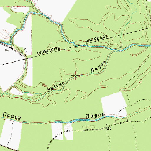 Topographic Map of Saline Bayou, LA