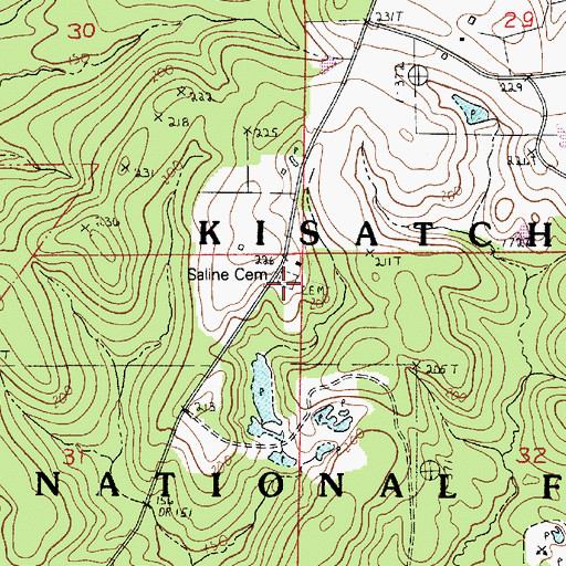 Topographic Map of Saline Cemetery, LA