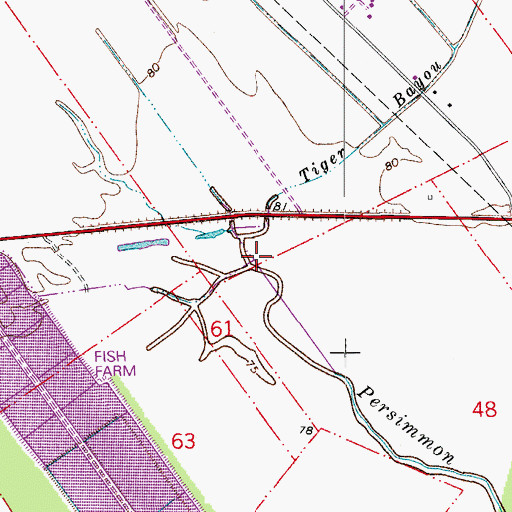 Topographic Map of Tiger Bayou, LA