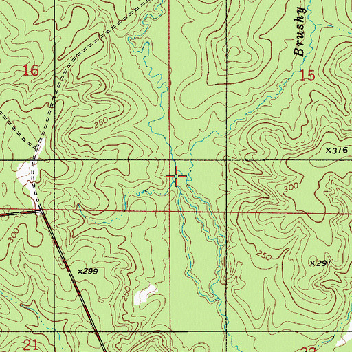 Topographic Map of Brushy Creek, LA