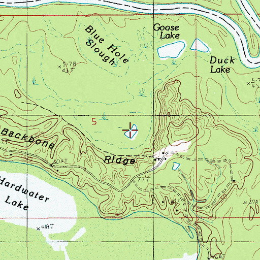 Topographic Map of Blue Hole Slough, LA