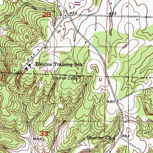 Topographic Map of Shorter Cemetery, AR