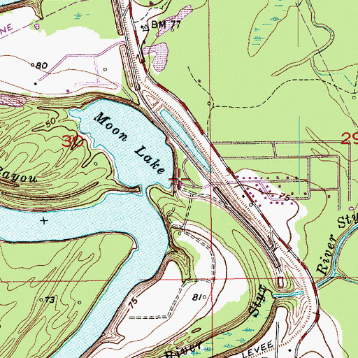 Topographic Map of Moon Lake Landing, LA