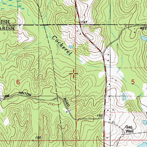 Topographic Map of North Carlton Gas Field, LA