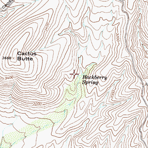 Topographic Map of Hackberry Spring, AZ