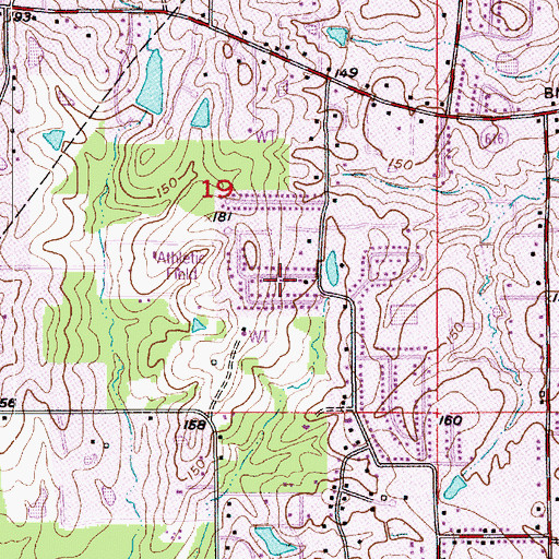 Topographic Map of Pine Grove, LA