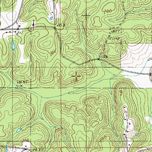Topographic Map of Shiloh Gas Field, LA