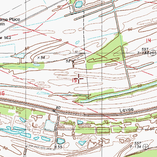 Topographic Map of Home Place Plantation, LA