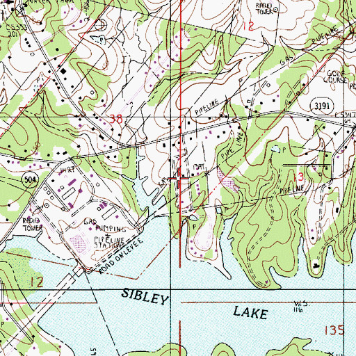 Topographic Map of Forest, LA