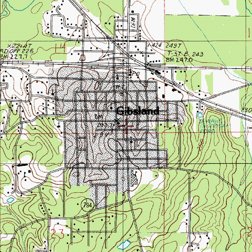Topographic Map of Gibbs Plantation (historical), LA