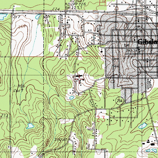Topographic Map of Gibsland Coleman High School, LA