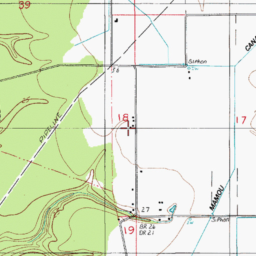 Topographic Map of Nezpique, LA