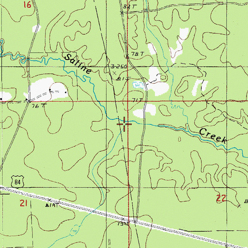 Topographic Map of Castor Salt Lick, LA