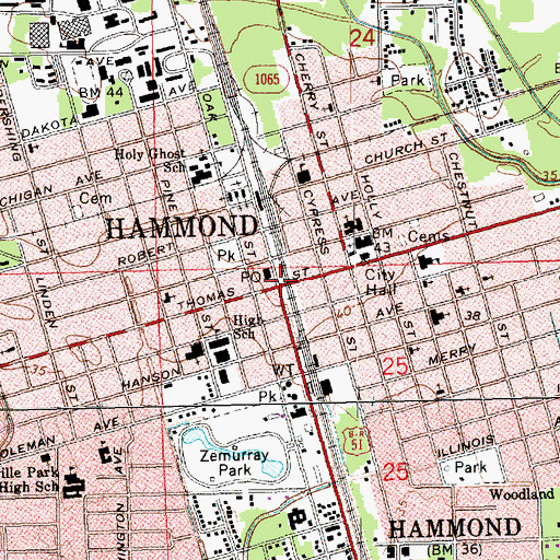 Topographic Map of Hammond Historic District, LA