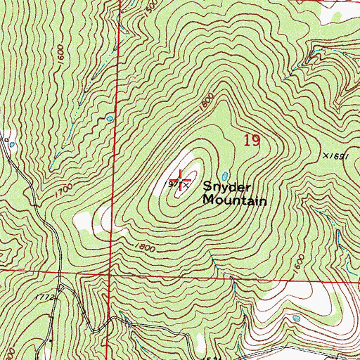 Topographic Map of Snyder Mountain, AR