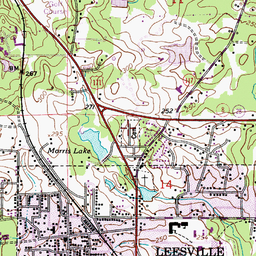 Topographic Map of Leesville Cemetery, LA