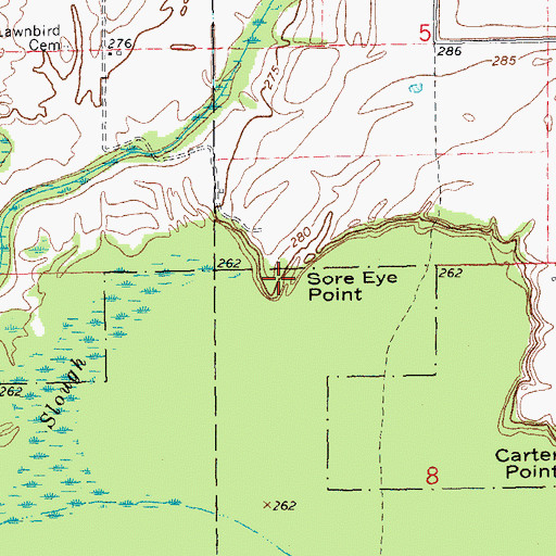 Topographic Map of Sore Eye Point, AR