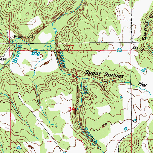 Topographic Map of Spout Springs Hollow, AR