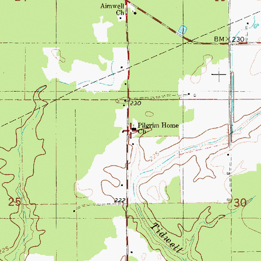 Topographic Map of Pilgrim Home Cemetery, LA