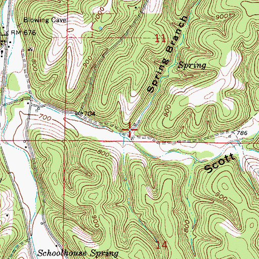Topographic Map of Spring Branch Hollow, AR