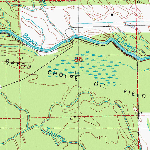 Topographic Map of Bayou Cholpe Oil Field, LA