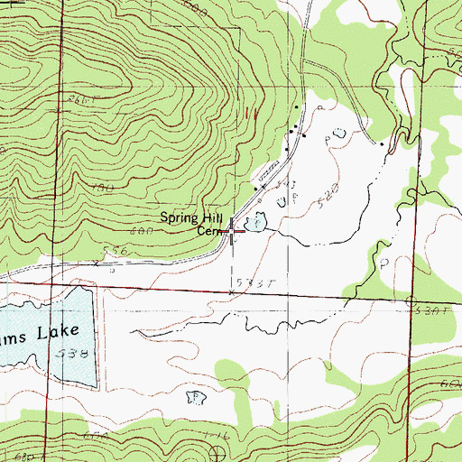 Topographic Map of Spring Hill Cemetery, AR