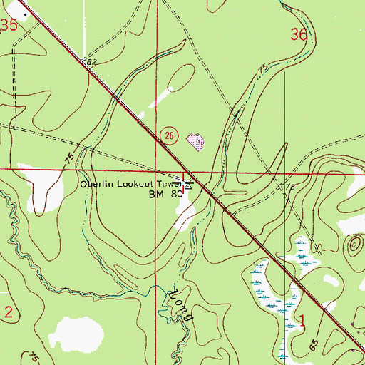 Topographic Map of Oberlin Lookout Tower, LA