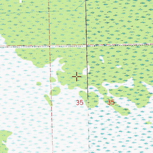 Topographic Map of Four Mile Marsh, LA