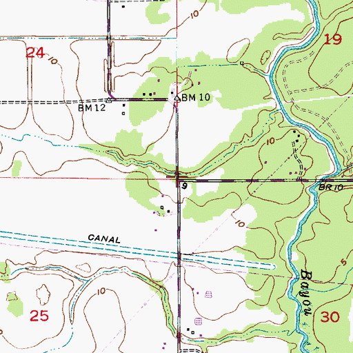 Topographic Map of Choupique, LA