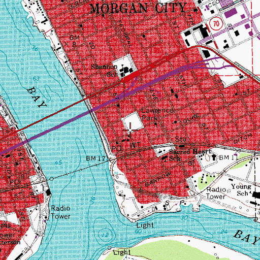 Topographic Map of Morgan City Public Library, LA